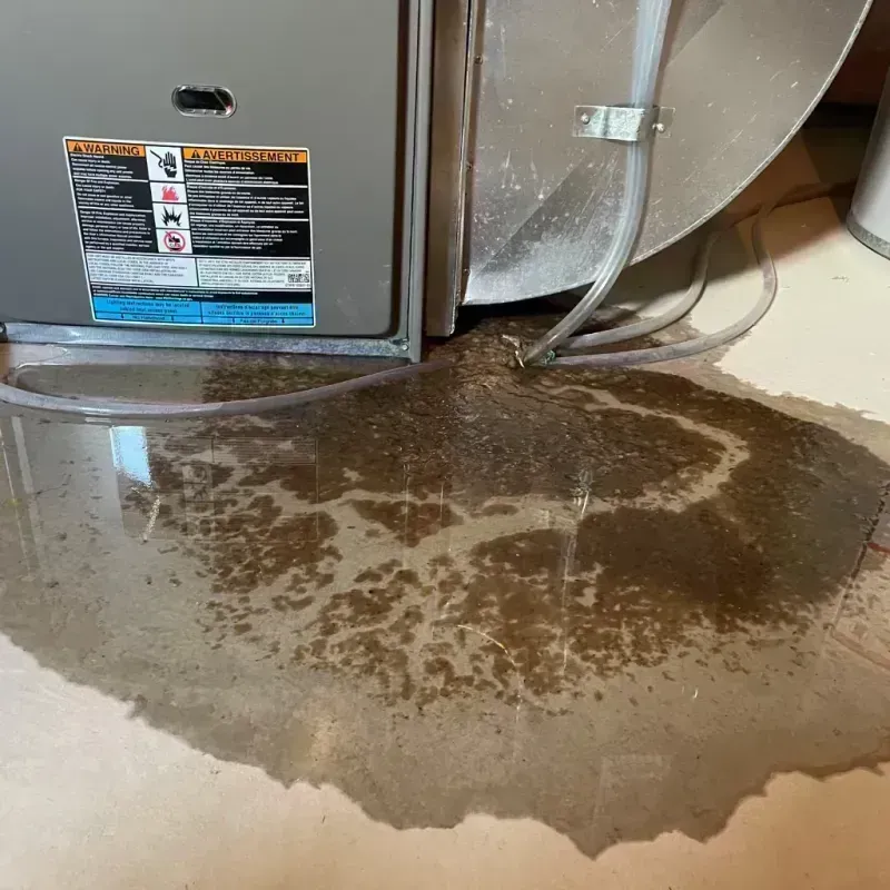 Appliance Leak Cleanup in West Lake Sammamish, WA